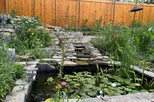 603 Madison Pl, Ann Arbor, MI 48103 - Photo 11