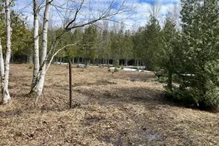 4010 Lake Shore Dr, Charlevoix, MI 49720 - Photo 27