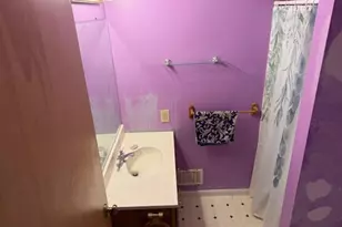 419 Sherman Ave, Lakeview, MI 48850 - Photo 13