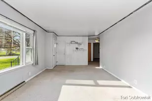 4919 S Green Ave, Fremont, MI 49412 - Photo 5