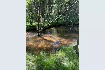 2.27 Acres W Shelby Road, Shelby, MI 49455 - Photo 11