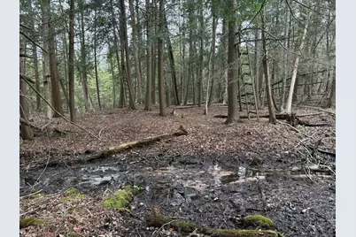 2.27 Acres W Shelby Road, Shelby, MI 49455 - Photo 23