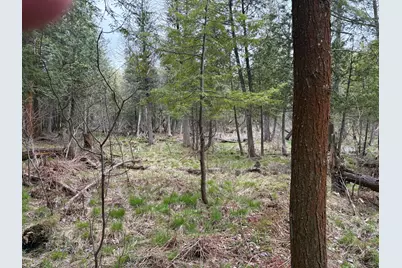 2.27 Acres W Shelby Road, Shelby, MI 49455 - Photo 7