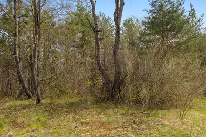 00Z0 Dzuibanek Road, Thompsonville, MI 49683 - Photo 3
