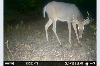 00Z0 Dzuibanek Road, Thompsonville, MI 49683 - Photo 15