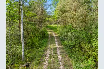 0 Dzuibanek Road, Thompsonville, MI 49683 - Photo 7