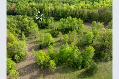 0 Dzuibanek Road, Thompsonville, MI 49683 - Photo 9