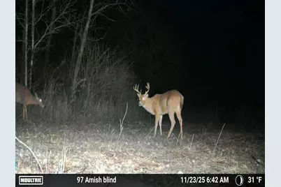 00Z0 Dzuibanek Road, Thompsonville, MI 49683 - Photo 13