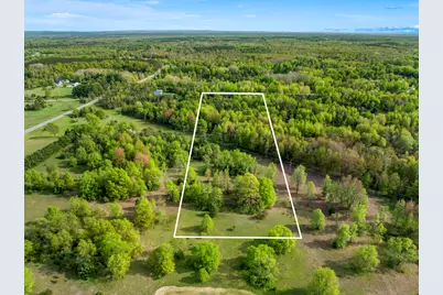 0 Dzuibanek Road, Thompsonville, MI 49683 - Photo 21