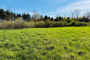 1525 S Poplar Rd, Custer, MI 49405 - Photo 33