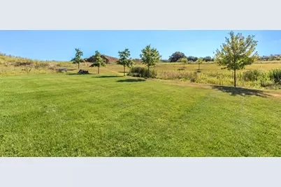 233 Campolina Street, Chelsea, MI 48118 - Photo 53