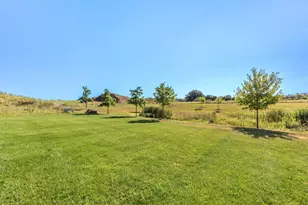 233 Campolina St, Chelsea, MI 48118 - Photo 53