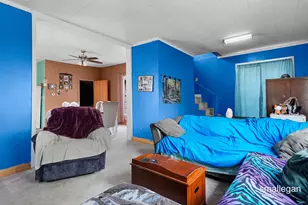 207 N Queen St, Nashville, MI 49073 - Photo 5