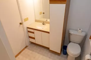 330 Johnson St, Edmore, MI 48829 - Photo 13