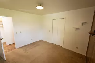 330 Johnson St, Edmore, MI 48829 - Photo 17