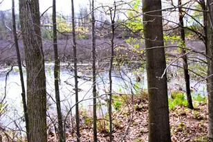 10299 Frost Rd, Portland, MI 48875 - Photo 47