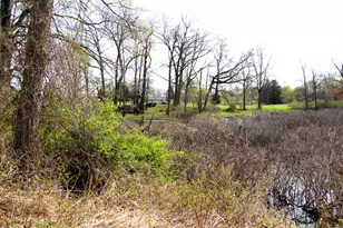 10299 Frost Rd, Portland, MI 48875 - Photo 43