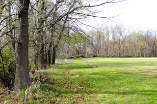 10299 Frost Rd, Portland, MI 48875 - Photo 45