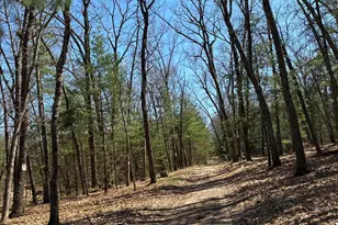 7451 W 76th St, Baldwin, MI 49304 - Photo 29