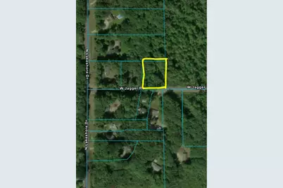Vl W Jagger Road, Ludington, MI 49431 - Photo 11