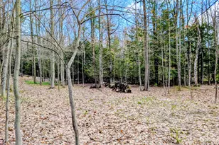 Vl W Jagger Rd, Ludington, MI 49431 - Photo 1
