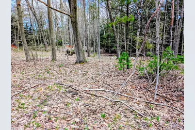 Vl W Jagger Road, Ludington, MI 49431 - Photo 5