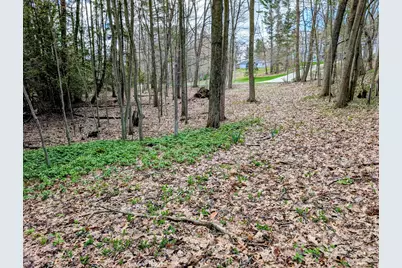 Vl W Jagger Road, Ludington, MI 49431 - Photo 3