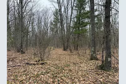 14995 N River Road, Brethren, MI 49619 - Photo 15