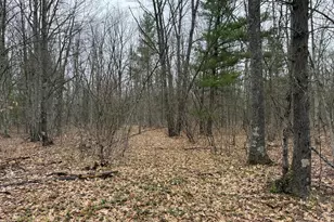 14995 N River Rd, Brethren, MI 49619 - Photo 15