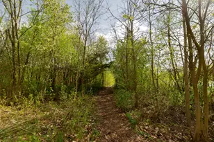 2317 Georgetown Blvd, Ann Arbor, MI 48105 - Photo 29