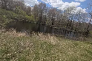 950 W 40th St, Fremont, MI 49412 - Photo 59