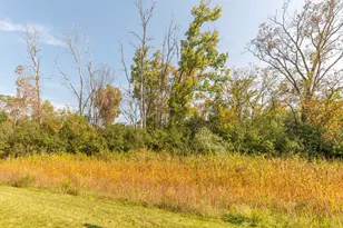 3370 Roseford Blvd, Ann Arbor, MI 48105 - Photo 43