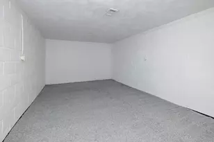 225 Clinton St, Mendon, MI 49072 - Photo 19