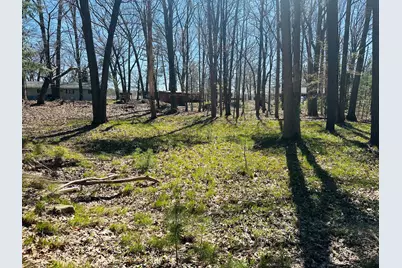 361 E Piney Road, Manistee, MI 49660 - Photo 5