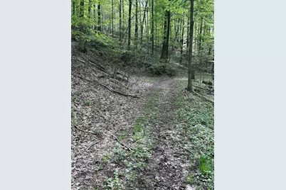 Vl Horseshoe Cove, Allegan, MI 49010 - Photo 17