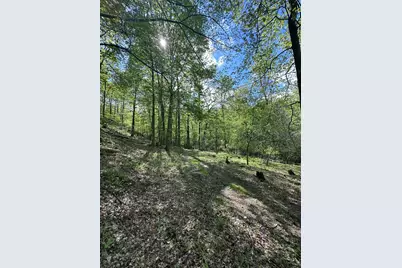 Vl Horseshoe Cove, Allegan, MI 49010 - Photo 15
