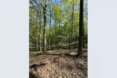 Vl Horseshoe Cove, Allegan, MI 49010 - Photo 19