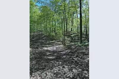 Vl Horseshoe Cove, Allegan, MI 49010 - Photo 21