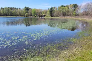 31421 Co Rd 388, Gobles, MI 49055 - Photo 23