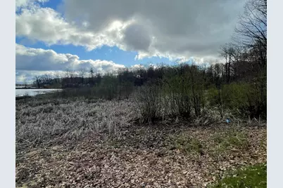 E Madison Road, Walkerville, MI 49459 - Photo 3