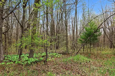 V/L E Bailey Road, Ravenna, MI 49451 - Photo 5