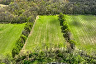 5299 Rives Junction Rd, Jackson, MI 49201 - Photo 53