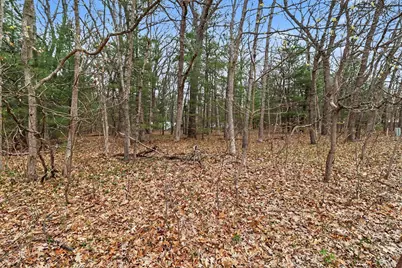 V/L E Catherine Road, Fountain, MI 49410 - Photo 11