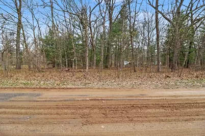 V/L E Catherine Road, Fountain, MI 49410 - Photo 9