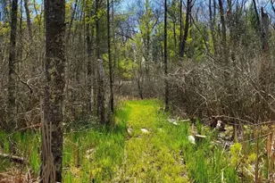 1153 W Channel St, Bitely, MI 49309 - Photo 33