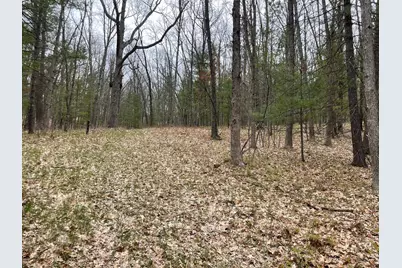 Parcel A Coates Hwy, Brethren, MI 49619 - Photo 5