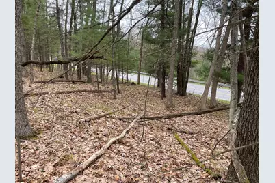 Parcel B Coates Hwy, Brethren, MI 49619 - Photo 1