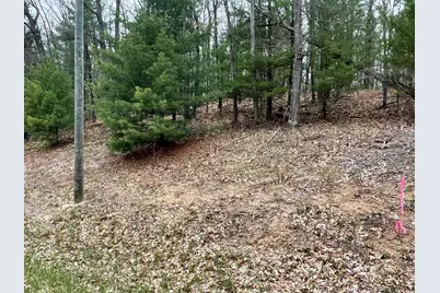 Parcel B Coates Hwy, Brethren, MI 49619 - Photo 11