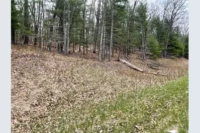 Parcel B Coates Hwy, Brethren, MI 49619 - Photo 13