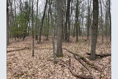 Parcel B Coates Hwy, Brethren, MI 49619 - Photo 5